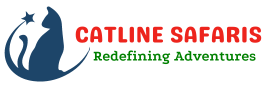 CatLine Safaris