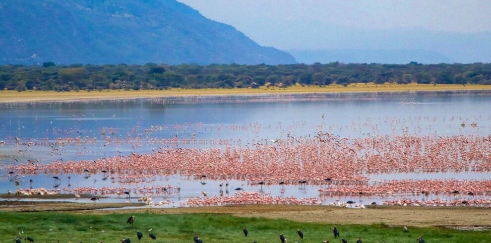 Lake Manyara National Park